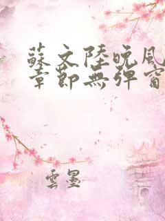 苏文陆晚风最新章节无弹窗笔趣阁