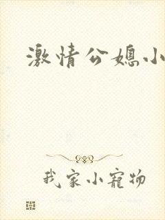 激情公媳小说