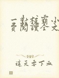 一对校霸小说免费阅读全文无弹窗