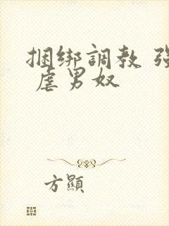 捆绑调教 强制 虐男奴