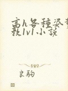 高h各种姿势调教1v1小说