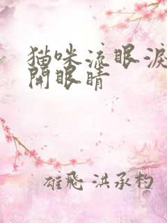 猫咪流眼泪睁不开眼睛