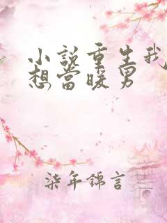 小说重生我真没想当暖男