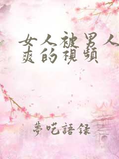 女人被男人操到爽的视频