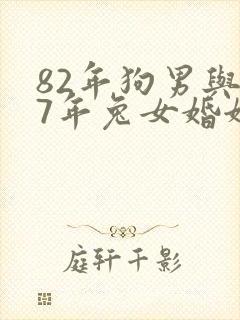 82年狗男与87年兔女婚姻好不