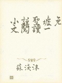 小说圣墟免费全文阅读一