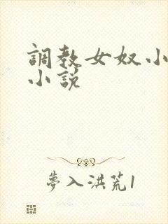 调教女奴小阴核小说