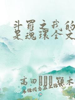 斗罗之我的武魂是魂环全文阅读阅读