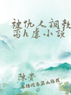 被仇人调教成禁脔h虐小说