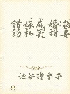 错嫁成婚:总裁的私宠甜妻 风亭