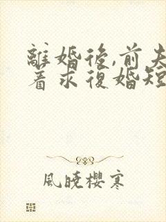 离婚后,前夫哭着求复婚短剧