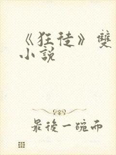 《狂徒》双男主小说