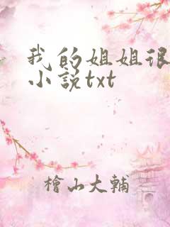 我的姐姐很弟控小说txt