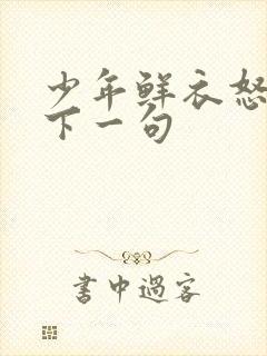 少年鲜衣怒马时下一句