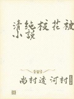 清纯校花被侵犯小说