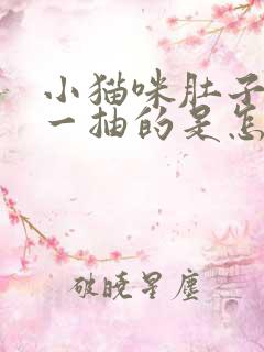 小猫咪肚子一抽一抽的是怎么回事