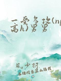 一受多攻(np高h)男男
