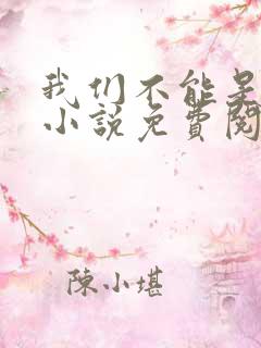 我们不能是朋友小说免费阅读