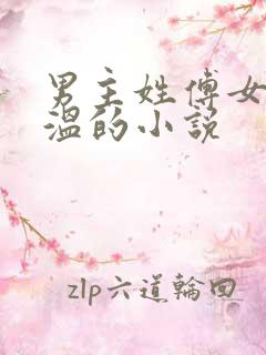 男主姓傅女主姓温的小说