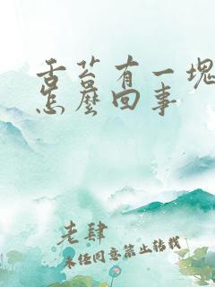 舌苔有一块发白怎么回事