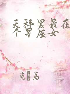 天秤男最在乎哪个星座女