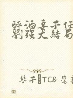 醉酒妻子任念与刘强大结局