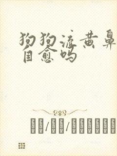 狗狗流黄鼻涕能自愈吗