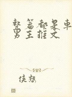 整篇都是车的双男主推文