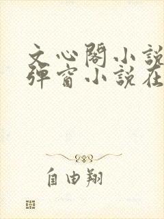文心阁小说_无弹窗小说在线免费阅读