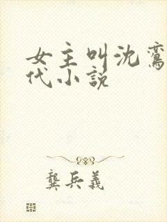 女主叫沈鸾的古代小说