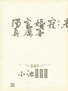 独家婚宠:老公真厉害