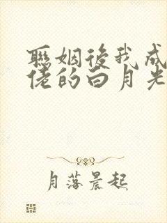 联姻后我成了大佬的白月光txt下载