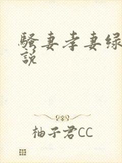 骚妻孝妻绿帽小说