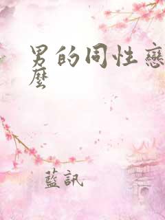 男的同性恋叫什么