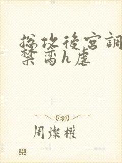 总攻后宫调教成禁脔h虐