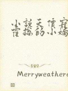 小说天价宠婚:霍总的小娇妻