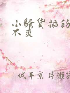 小骚货插的你爽不爽