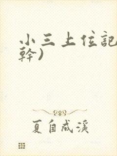 小三上位记(高干)