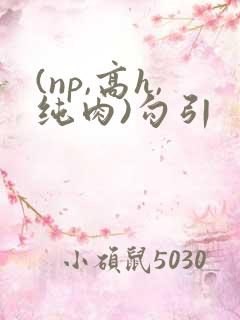 (np,高h,纯肉)勾引