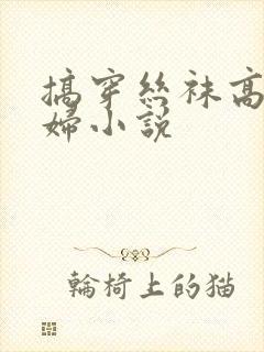 搞穿丝袜高跟少妇小说