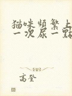 猫咪频繁上厕所一次尿一点咋回事