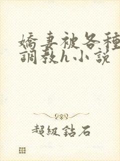 娇妻被各种刑具调教h小说