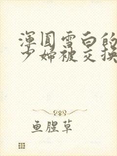 浑圆雪白的人妻少妇被交换