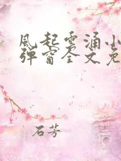 风起云涌小说无弹窗全文免费阅读