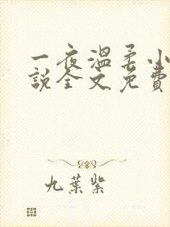 一夜温柔小可小说全文免费阅读