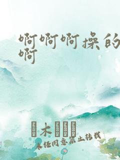 啊啊啊操的好爽啊