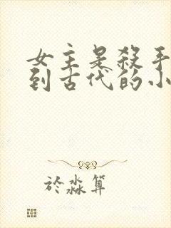 女主是杀手穿越到古代的小说