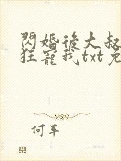 闪婚后大叔每天狂宠我txt免费