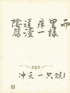 阴道痒里面像豆腐渣一样