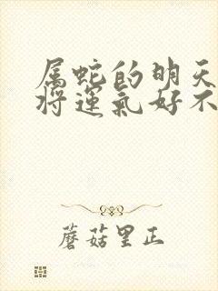 属蛇的明天打麻将运气好不好